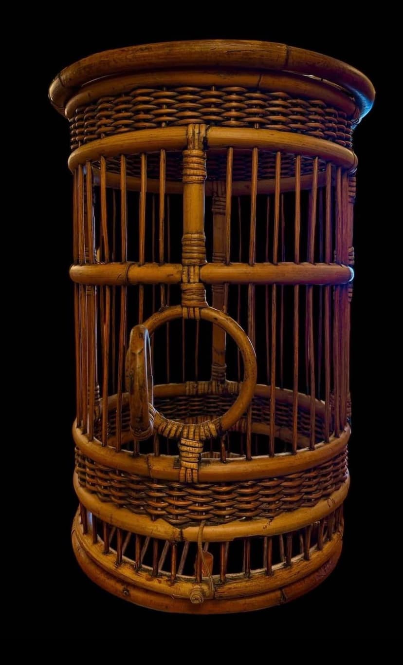 Vintage Rattan Wicker & Bamboo Hanging Bird Cage/Plant Cage, Brown, photo 2 of 3